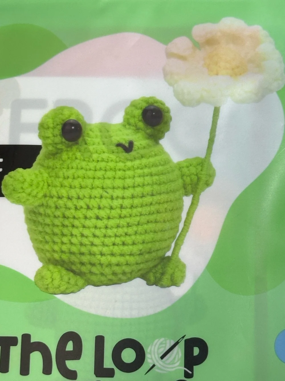 The Loop Brigade Bogart The Frog Learn To Crochet Kit For Beginners
